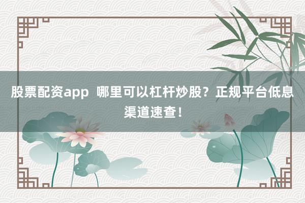 股票配资app 哪里可以杠杆炒股?正规平台低息渠道速查!