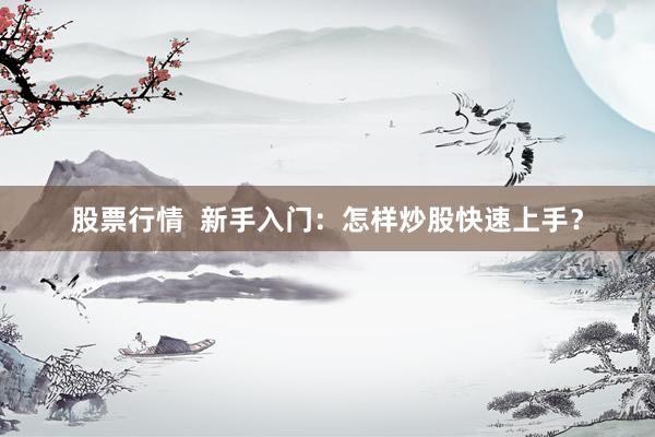 股票行情  新手入门：怎样炒股快速上手？